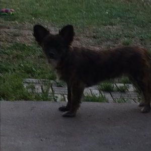 Meet your Posher, Georgia